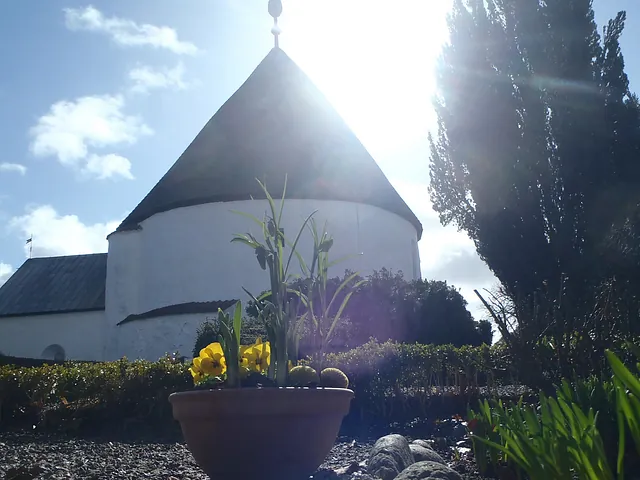 Forårsblomster med Ny Kirke i baggrunden.